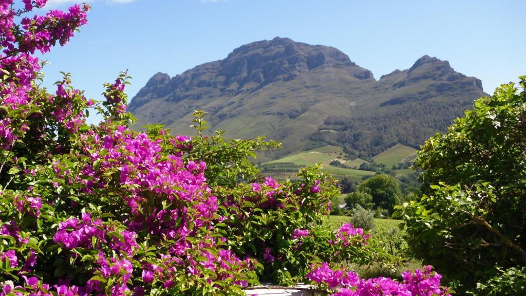 Dreamcatcher Tulbagh Rum bild